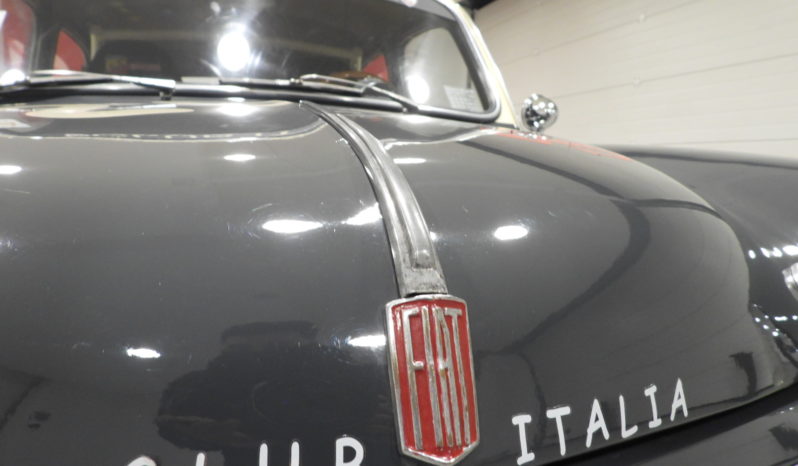 FIAT 1100 – 103 BAULETTO CAMBIO AL VOLANTE ”REPLICA ABARTH” – ISCRITTA ASI CON C.R.S.C. – ISCRITTA ED OMOLOGATA CSAI (1955)